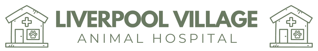 Liverpool Village Animal Hospital